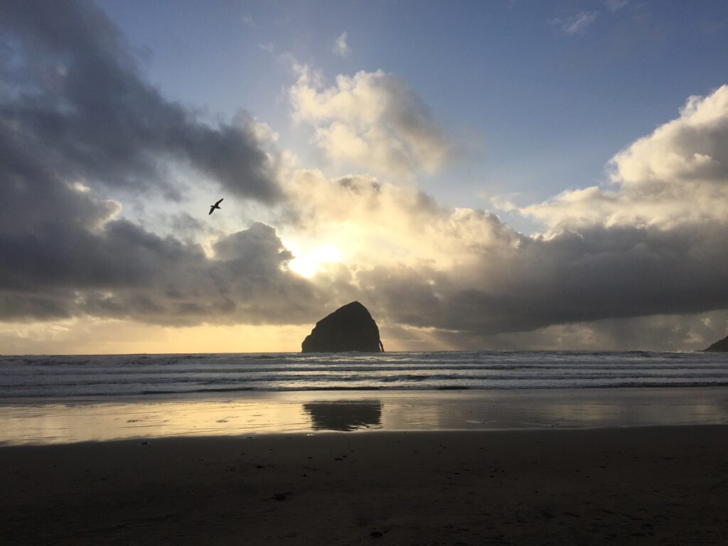 Haystack rock in the distance. 